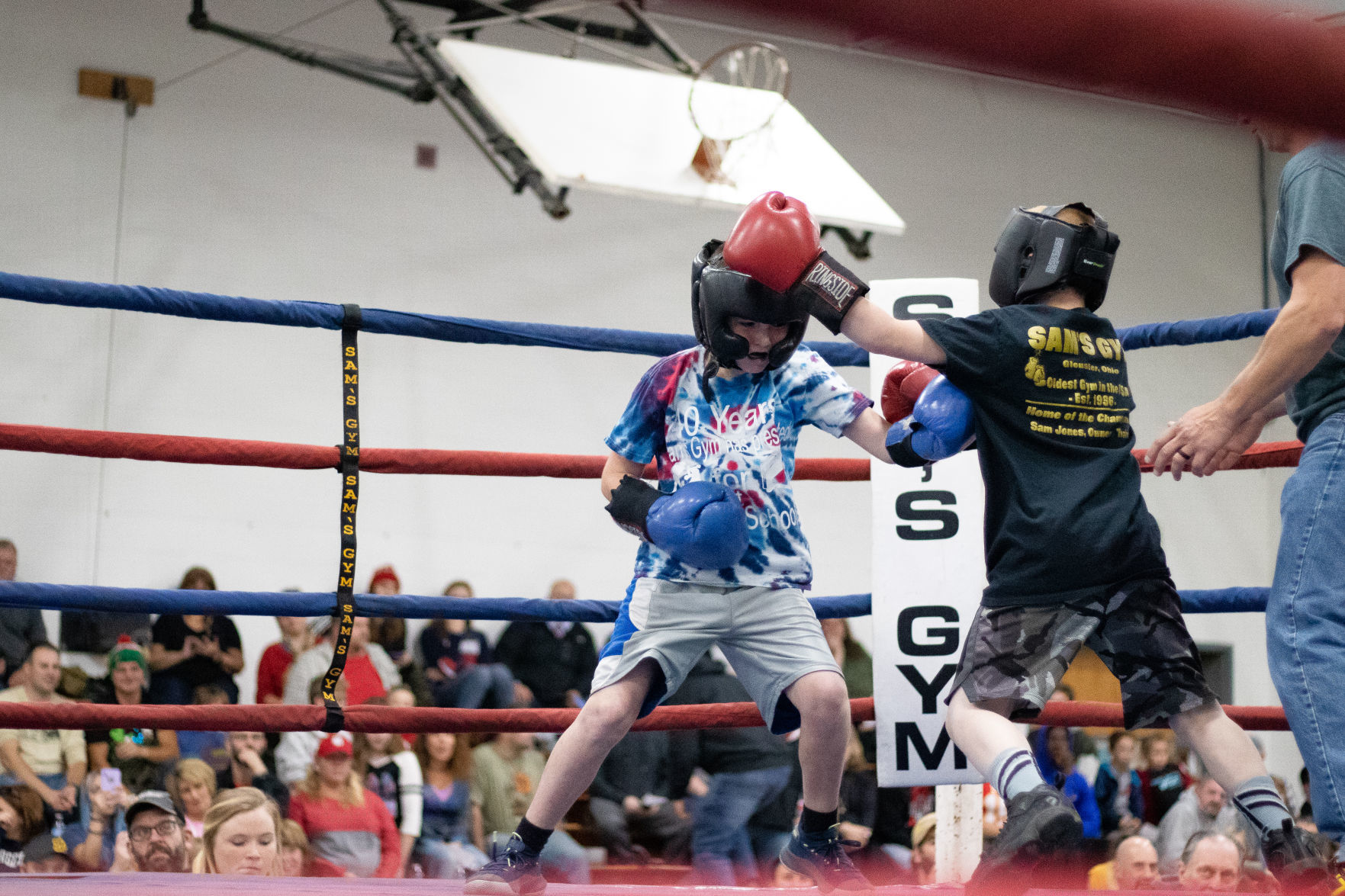 Boxing for Books